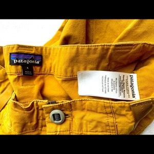 Patagonia venga  pants size 4